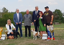 Speciální výstava SBTC CZ Kolesa