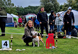 Special dog show SBTC CZ Němčice 18. 9. 2022