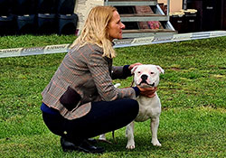 Special dog show SBTC CZ Němčice 18. 9. 2022