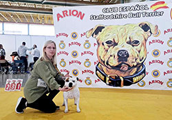 Alicante dog show, Španělsko
