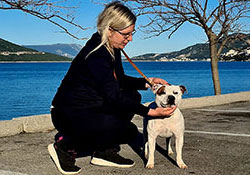 Dog show Černá Hora, Bosna a Herzegovina