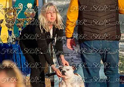 Dog show Černá Hora, Bosna a Herzegovina