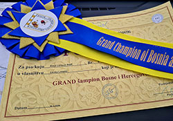 Dog show Černá Hora, Bosna a Herzegovina