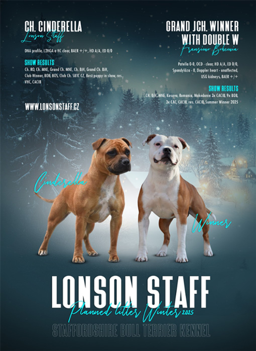Hallooweenská nadílka - vrh L Lonson Staff