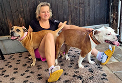 Krytí Multi Ch. Cinderella Lonson Staff a Ch. Winner With Double W Fransimo Bohemia