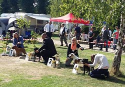 Special dog show SBTC CZ Dolní Počernice (CZ) 12. 9. 2015